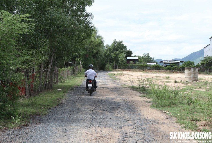 Tuyến đường Đá Voi – Nông Phố xuống cấp, người dân mong sớm được sửa chữa - Ảnh 4.
