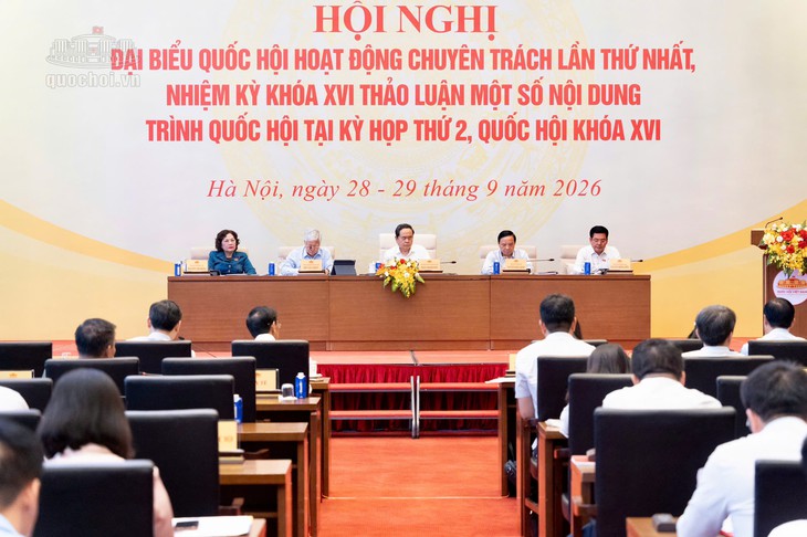 Đề xuất cơ chế bảo vệ đặc biệt với người chưa thành niên hiến mô - Ảnh 1.