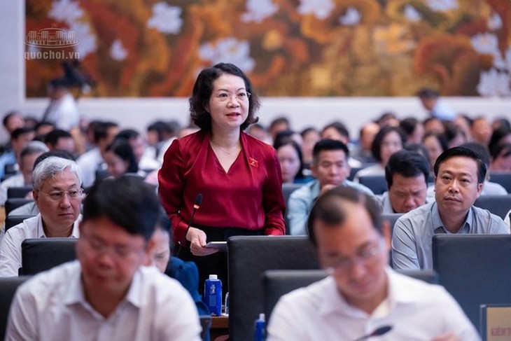 ĐBQH đề nghị thận trọng với biện pháp cắt điện, nước, Internet để cưỡng chế- Ảnh 1.