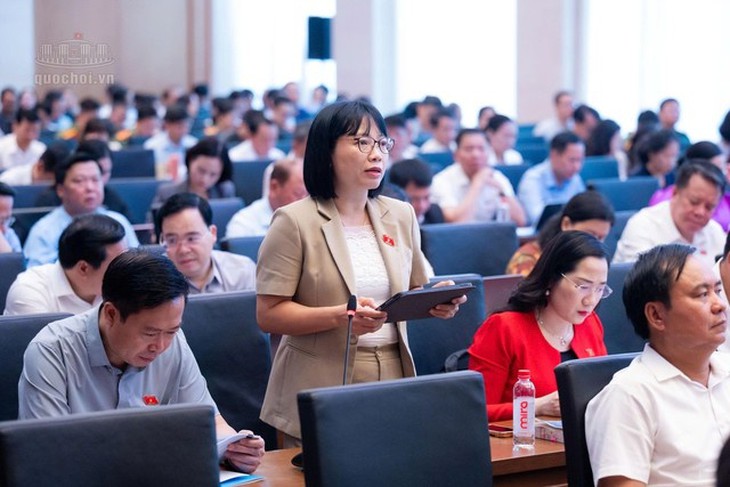 ĐBQH đề nghị thận trọng với biện pháp cắt điện, nước, Internet để cưỡng chế- Ảnh 3.
