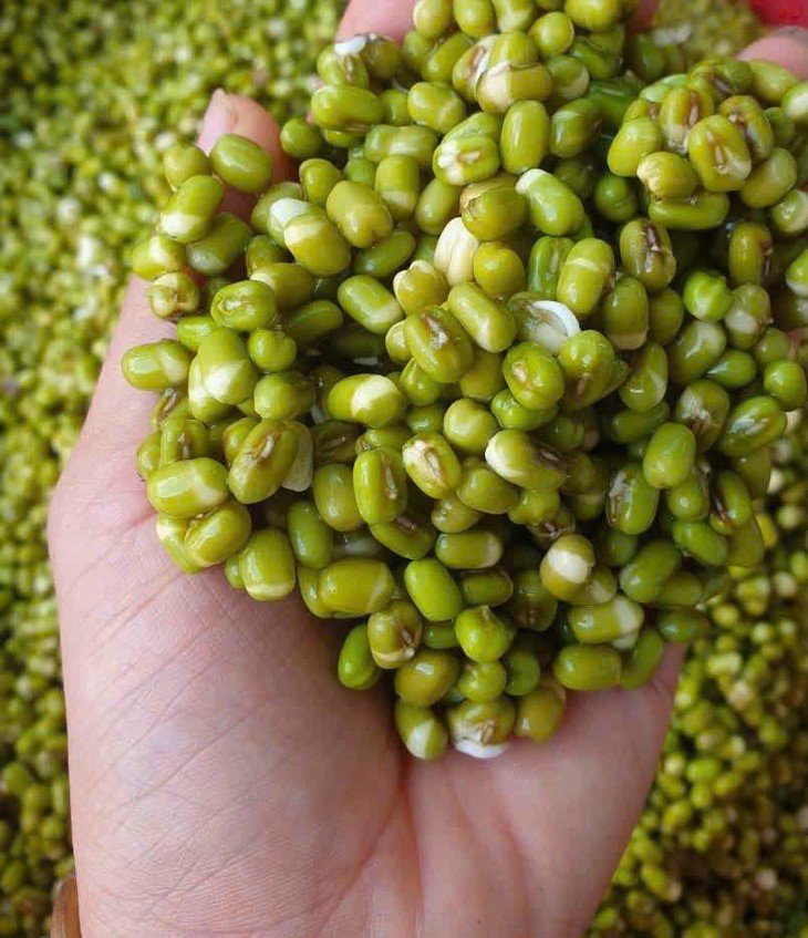 Vì sao nên ngâm đậu trước khi nấu? - Ảnh 1.