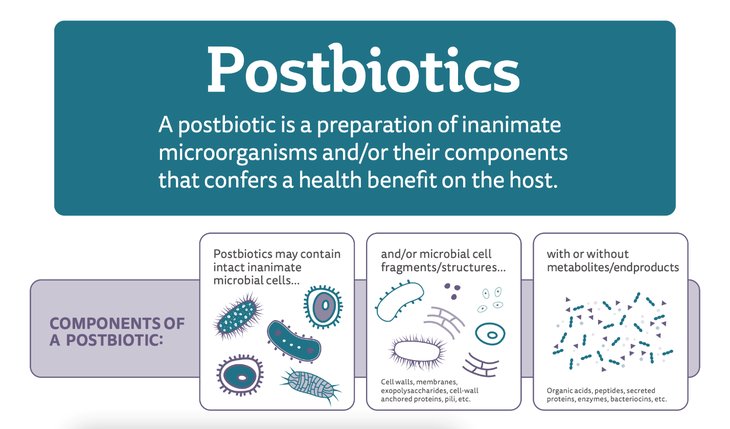 Công nghệ lợi khuẩn Postbiotic – Tiếp cận từ bằng chứng khoa học và thử nghiệm lâm sàng- Ảnh 1.