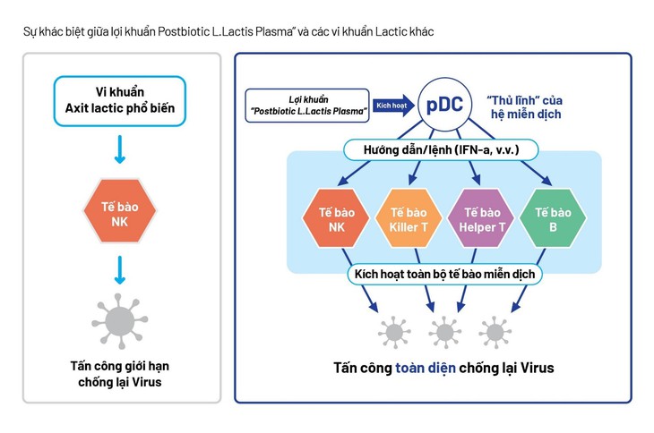 Công nghệ lợi khuẩn Postbiotic – Tiếp cận từ bằng chứng khoa học và thử nghiệm lâm sàng- Ảnh 2.