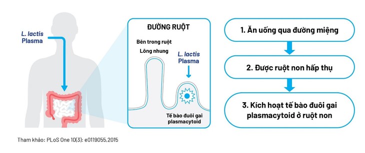 Công nghệ lợi khuẩn Postbiotic – Tiếp cận từ bằng chứng khoa học và thử nghiệm lâm sàng- Ảnh 4.