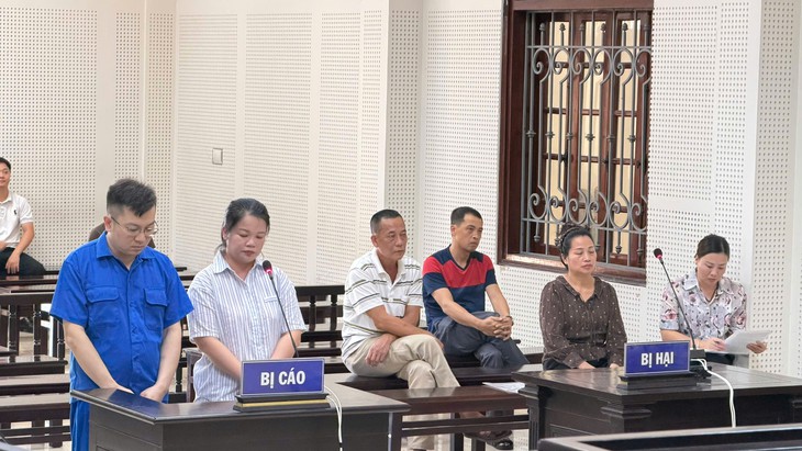 Cặp vợ chồng lĩnh gần 38 năm tù vì chiếm đoạt hơn 12 tỷ đồng - Ảnh 1.