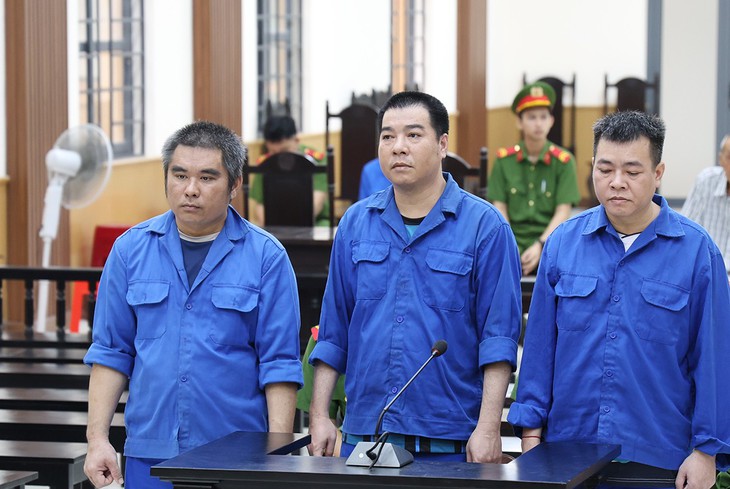 3 bị cáo cướp gần 55 tấn cá tra bị tuyên án 34 năm tù - Ảnh 1.
