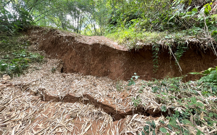 Sườn đồi Pu Già xuất hiện vết nứt kéo dài, sơ tán hàng chục hộ dân- Ảnh 3.