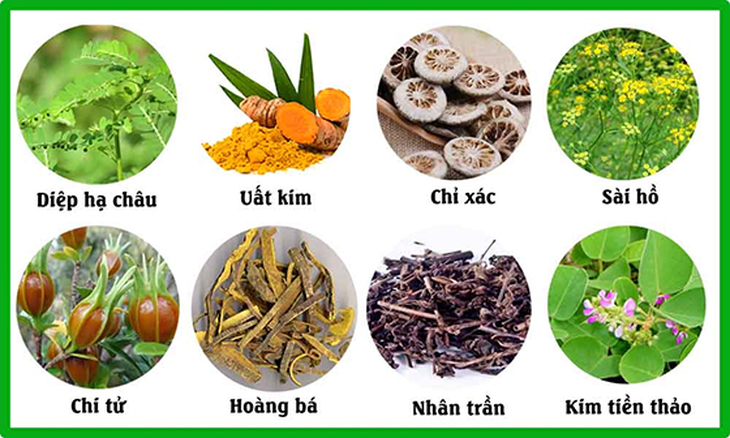 Sỏi đường mật trong gan: Vì sao dễ tái phát và gây biến chứng?- Ảnh 4.