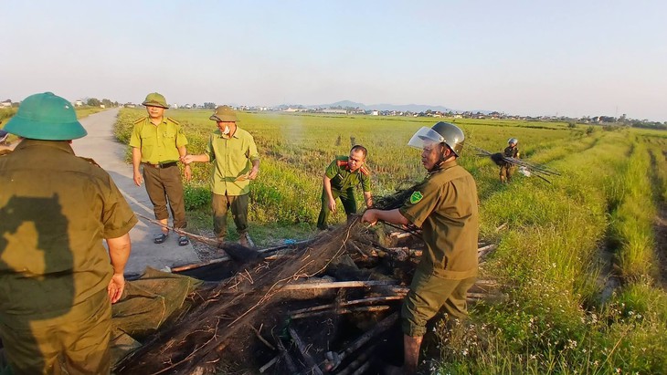Phát hiện 'trận địa' bẫy chim giữa cánh đồng, thu 5.000m lưới
- Ảnh 3.