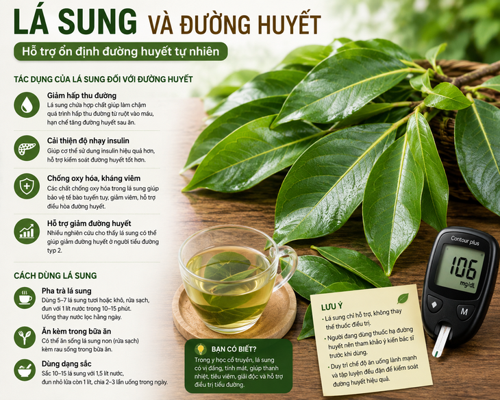 Uống nước lá sung có kiểm soát được đường huyết?- Ảnh 1.