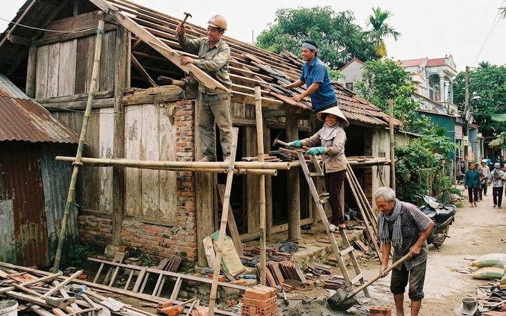 Phạt tiền từ 30.000.000 đồng đến 50.000.000 đồng nếu tự ý chặt hạ, dịch chuyển cây xanh - Ảnh 1.