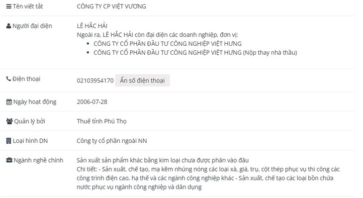 Công ty Cổ phần Việt Vương vi phạm chứng khoán- Ảnh 1.