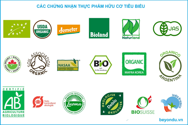 Organic – 'Hộ chiếu' giúp BE20 mở rộng hành trình phát triển thương hiệu- Ảnh 1.