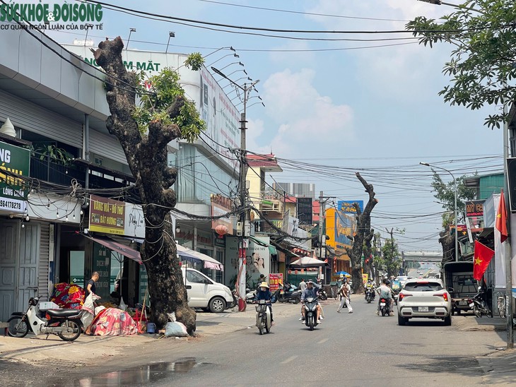 Hiện trạng mở rộng đường 70 qua Tây Mỗ, Xuân Phương- Ảnh 2.