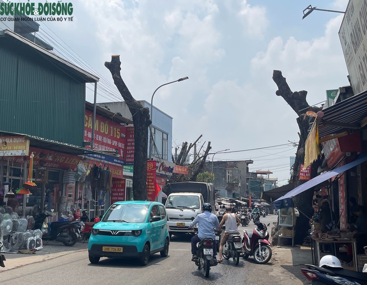 Hiện trạng mở rộng đường 70 qua Tây Mỗ, Xuân Phương- Ảnh 5.