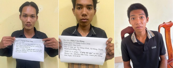 Bắt 3 tên cướp dùng dao chém người- Ảnh 2.