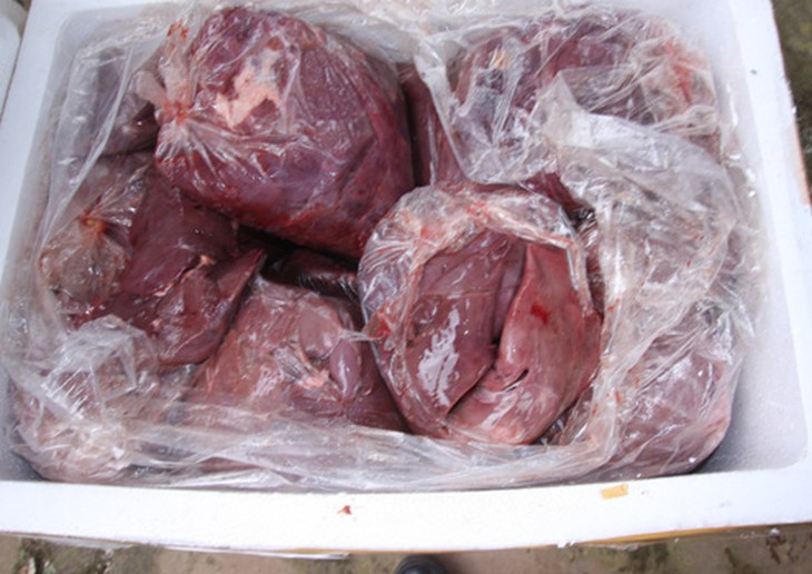 Hàng trăm kg nội tạng thối sắp tuồn qua biên giới 1