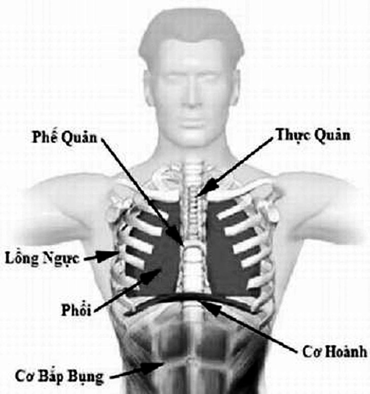 Cảnh giác với chấn thương cơ hoành 2