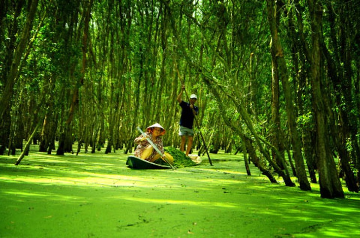 Lãng đãng miền Tây 1