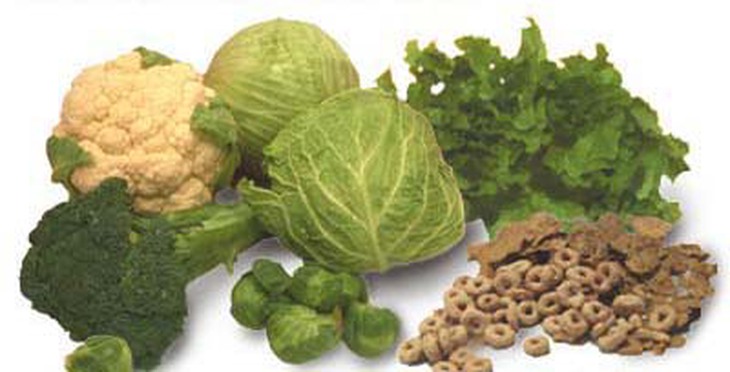 Vitamin của thế kỷ 21 1