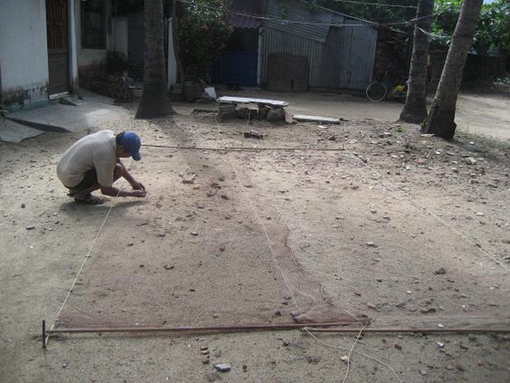 Tận diệt chim sẻ trong thành phố 1
