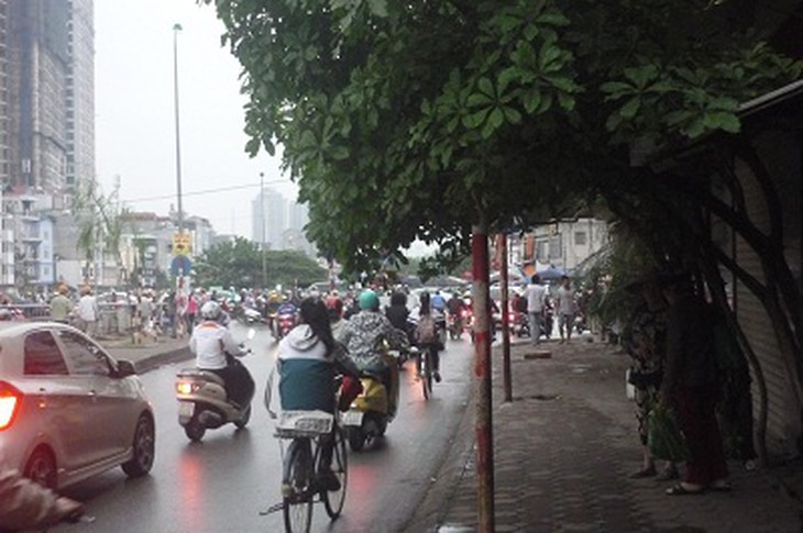 Vạch lá tìm... biển báo 1