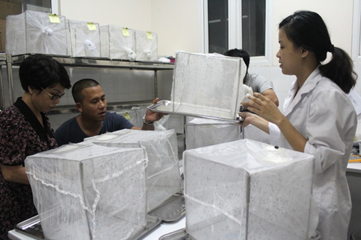 Nghề ngồi cho muỗi đốt 2