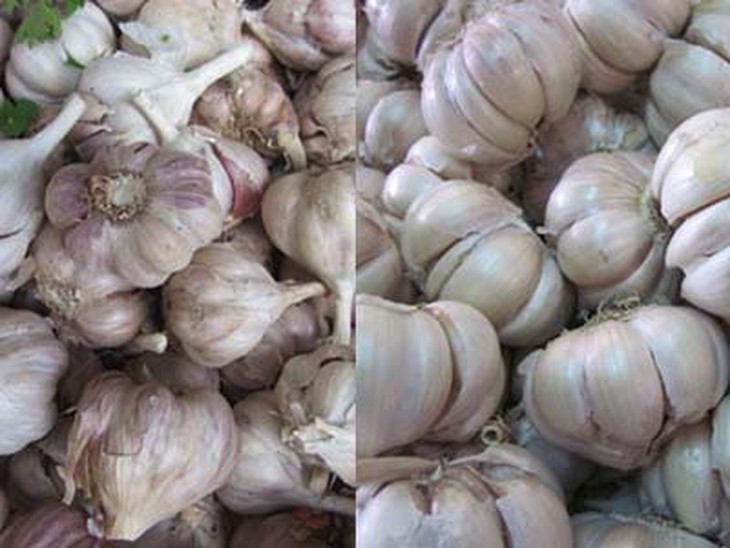 5 loại thực phẩm tốt cho sức khỏe trong mùa thu 1