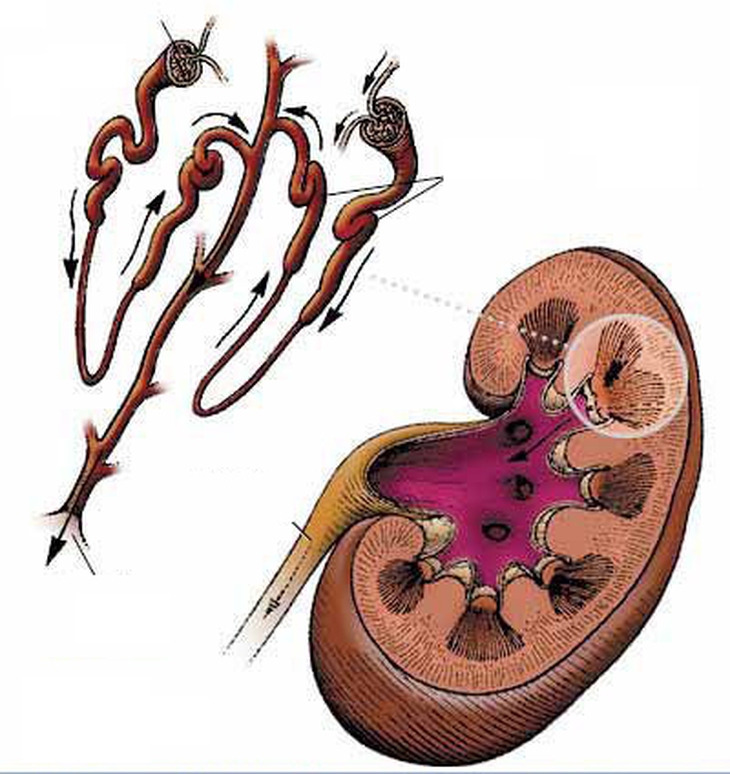 Hệ lụy từ thuốc chữa viêm khớp diclofenac 1
