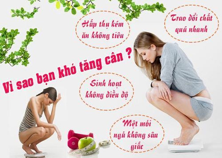 tăng cân an toàn nhất - Big Viên Tăng Cân Weight Again.jpg