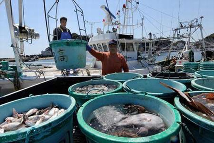 Hải sản vùng Fukushima vẫn nhiễm xạ ở mức cao 3