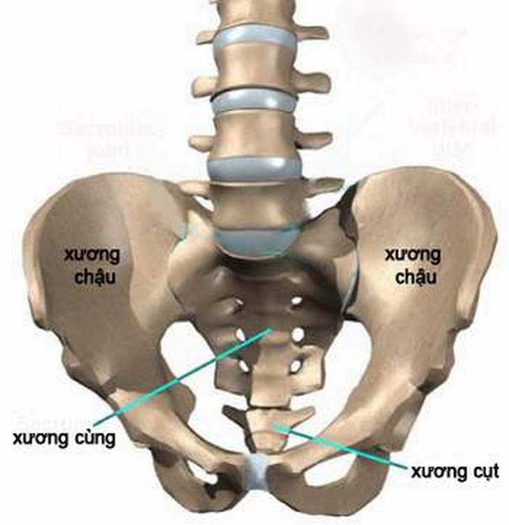 Ðau khung chậu mạn tính ở phụ nữ - Bệnh gì? 1