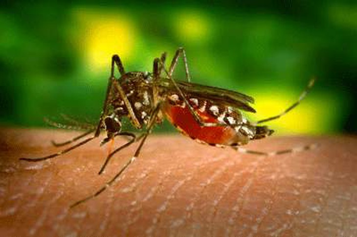 Ai dễ bị muỗi đốt?  1