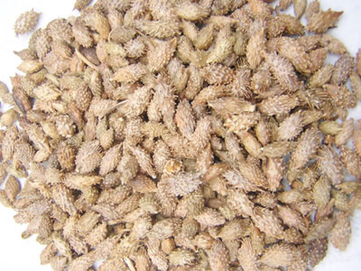 Các phương pháp trị viêm mũi xoang hiệu quả 3