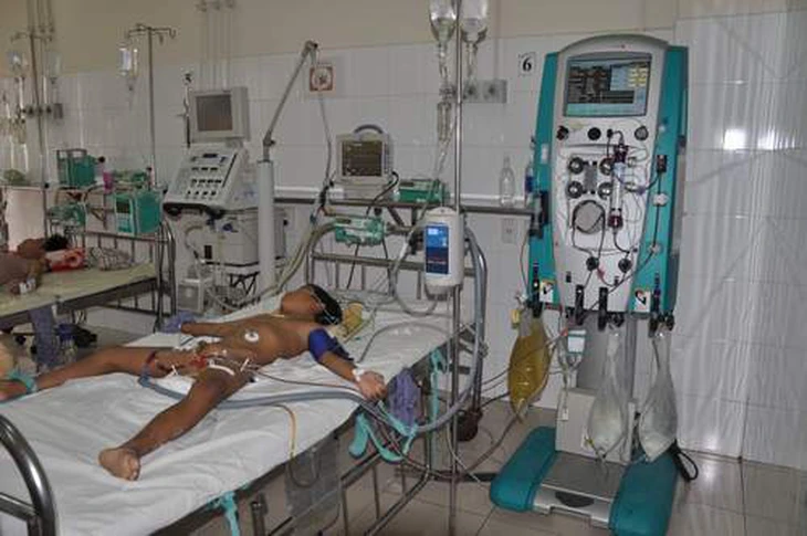 Em bé 7 tuổi bị ong vò vẽ đốt được cứu sống 1
