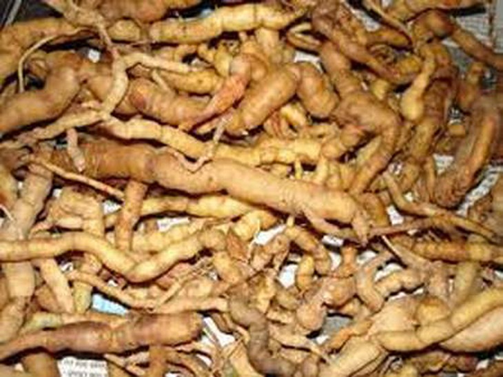 4 loại thảo dược nâng cao đời sống tình dục 2