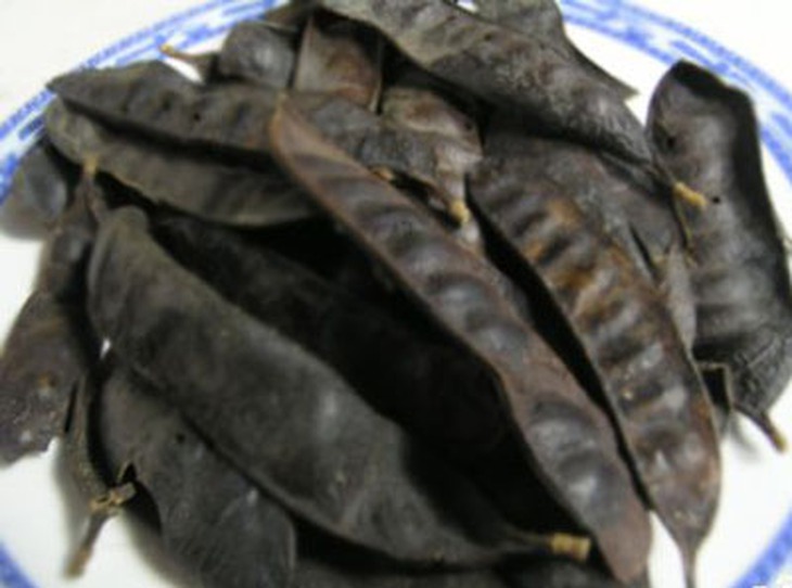 Bồ kết trị viêm xoang 1