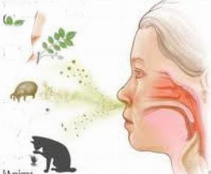 Có thể dùng chlorpheniramin kéo dài? 1