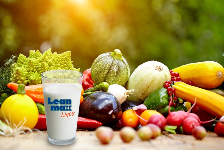 Leanmax Ligos là giải pháp dinh dưỡng giúp bảo vệ tế bào gan và hỗ trợ phục hồi sức khỏe