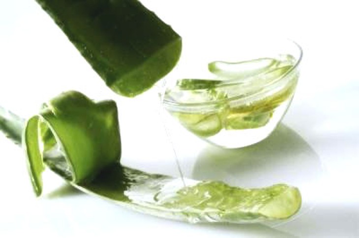 lô hội làm dịu vết muỗi đốt