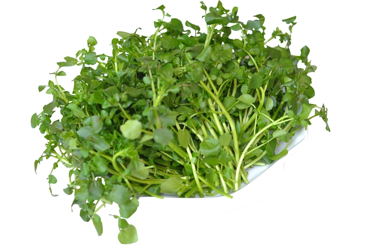 5 tác dụng chữa bệnh tuyệt vời từ cải xoong