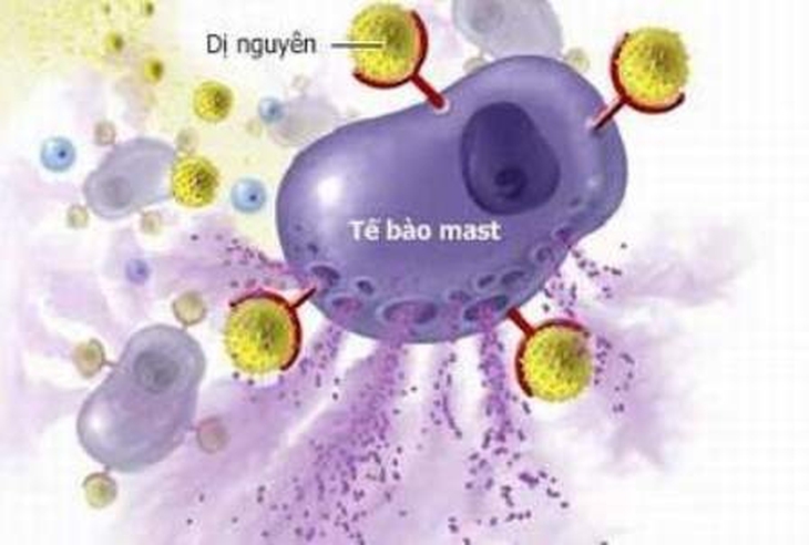 Lưu ý khi dùng thuốc kháng histamin điều trị dị ứng