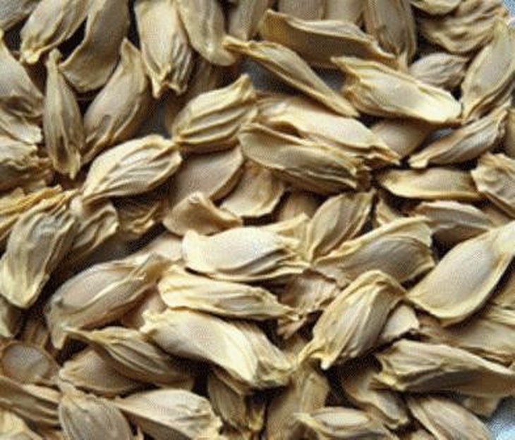 Các bài thuốc dân gian từ hạt bưởi - Ảnh 2.