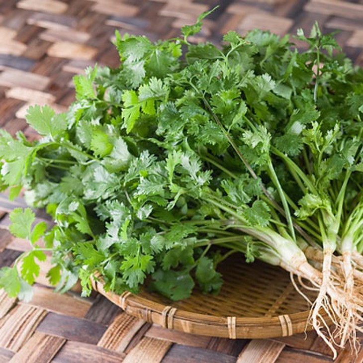 Lợi sữa cho sản phụ sau sinh với rau mùi