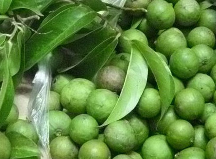 Công dụng chữa bệnh từ quả sấu ít ai biết