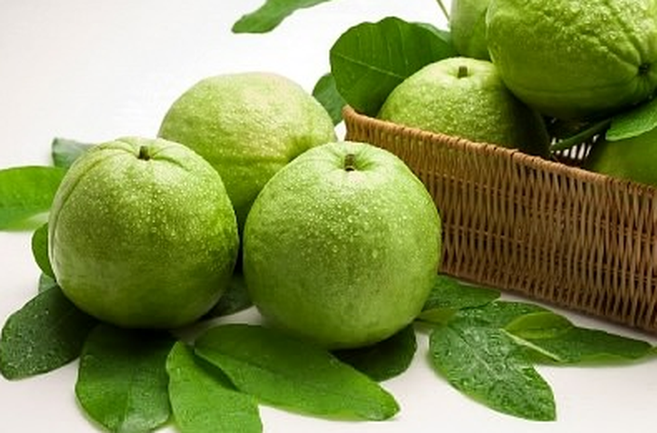 Quả ổi và lợi ích ít biết với bà bầu