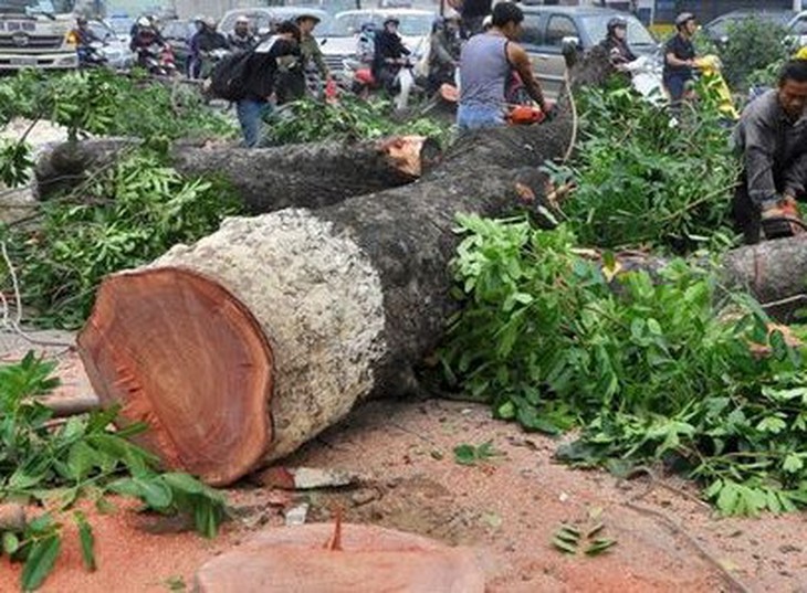 Yêu cầu kiểm điểm nhiều tập thể, cá nhân để xảy ra sai phạm tại dự án Khu du lịch sinh thái biển Hải Tiến- Ảnh 4.