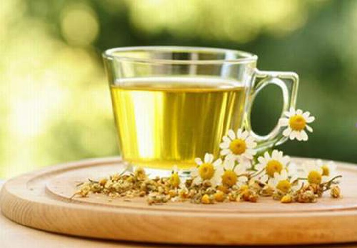 Hoa cúc trắng chữa hoa mắt, chóng mặt