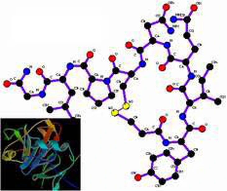 Nhìn nhận tích cực về oxytocin