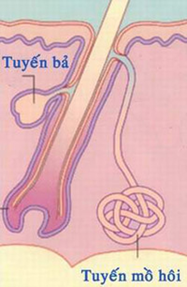 tang-tuyen-ba-nhon-va-tuyen-mo-hoi-gay-trung-ca
